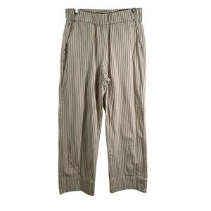 Everlane Wide Leg Pants — Beige with Brown Pinstripes